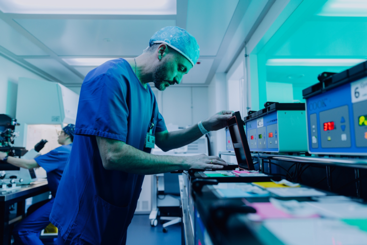 Ivf labor 2400