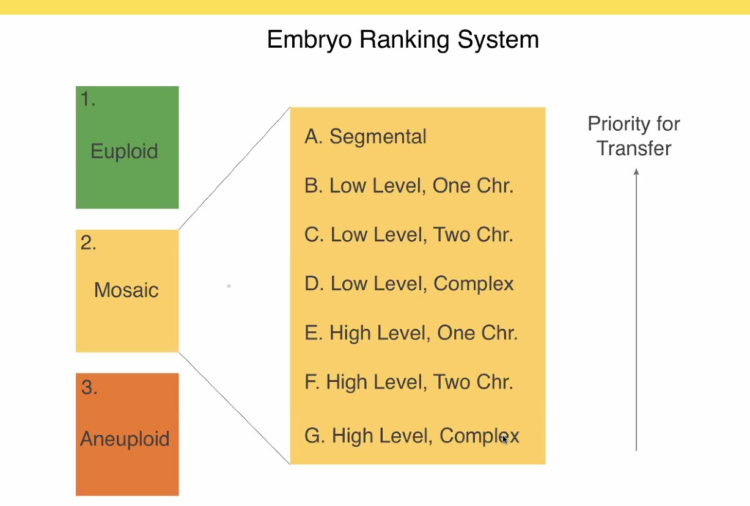 Mosaic ranking